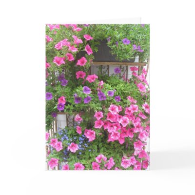Amsterdam Flowers Photo Greetings Card by hollandshop