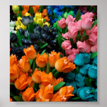 Amsterdam Tulips Print