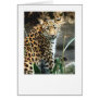 Amur Leopard Greeting Cards
