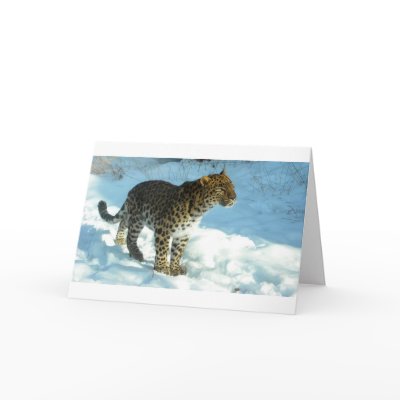Amur Leopard Cards by soyrwoo