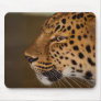 Amur Leopard Mousepads