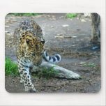 Amur Leopard Mouse Pad