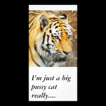 Amur Tiger, I’m just a big pussy cat really.... photo cards