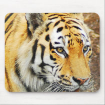 Amur Tiger mousepads