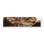 Amusements Bumper Sticker