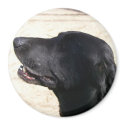 Amy Elizabeth Black Lab Magnet