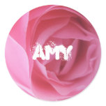 Amy Pink Rose Name Label Stickers