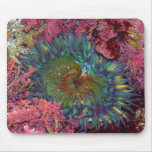 Amzing Green Anemone mousepads