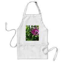 An African Daisy In My Patio Garden Aprons