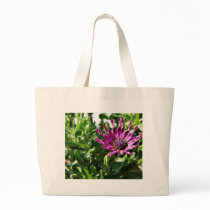 An African Daisy In My Patio Garden Bag