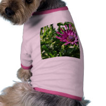 An African Daisy In My Patio Garden Doggie T Shirt