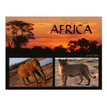An African Safari Postcard