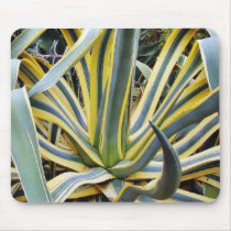 An Agave Cactus Not Blue Agave Though Mouse Pad