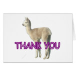 An alpaca "Thank You" card