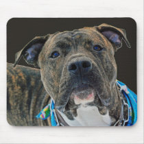 An American Bulldog Mousepad