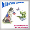 An American Summer posters