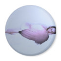 An Angel Sleeps magnets
