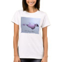 An Angel Sleeps t-shirts