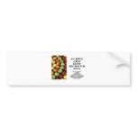 An Apple A Day Keeps The Doctor Away (Food Advice) bumper stickers