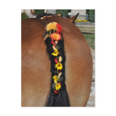 An Ardennes horse with plaited tail by ruralfrance