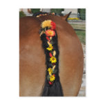 An Ardennes horse with plaited tail postcards