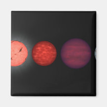 An artist's rendition comparing brown dwarfs refrigerator magnet