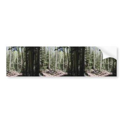 An Aspen - Fir Dominated Forest Just North And Dow Bumper Stickers by animalpark