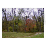 An Autumn Day Hike Cards