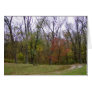 An Autumn Day Hike Cards