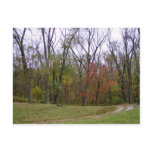An Autumn Day Hike Cards Post Card