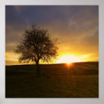 An Autumn Sunrise posters