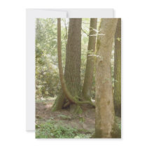 An Awkward Position (Trees) Announcement