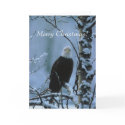 An Eagle Christmas! cards