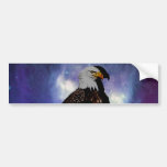An eagle in the mirror bumper sticker