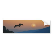 An eagles ascent bumper sticker