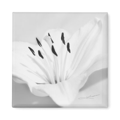An Echo of Innocence Fridge Magnet by kklawiter