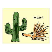 AN- Funny Porcupine Postcard