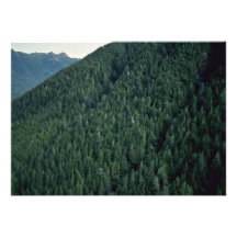 An Ideal Untouched Mountain Personalized Invites