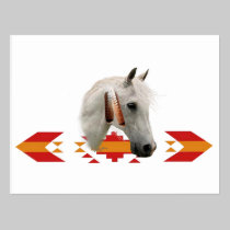 An Indian Pony postcards