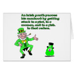 An Irish Youth