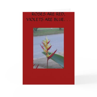 AN ODE TO THE EXOTIC YOU GREETING CARD by stephyfullofgrace