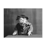 An Old Sea Dog: 1905 postcards