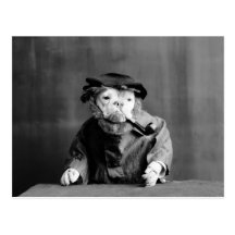 An Old Sea Dog: 1905 Postcard