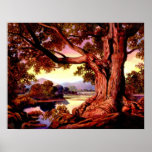 An Old Tree Posters and Prints