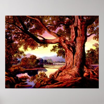 An Old Tree Posters and Prints by naturetees