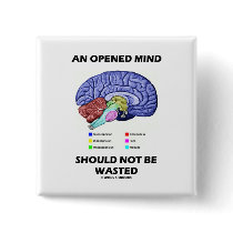 An Opened Mind Should Not Be Wasted (Brain)