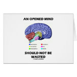 An Opened Mind Should Not Be Wasted (Brain)