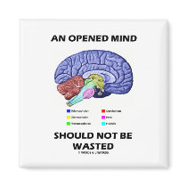An Opened Mind Should Not Be Wasted (Brain)