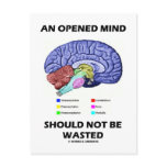 An Opened Mind Should Not Be Wasted (Brain)