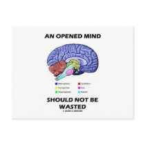 An Opened Mind Should Not Be Wasted (Brain)